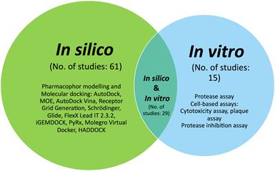 Assessing the potential of NS2B/NS3 protease inhibitors biomarker in curbing dengue virus infections: In silico vs. In vitro approach